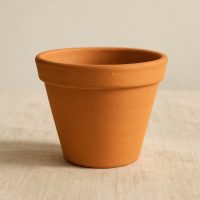Maceta de barro de 18 cm